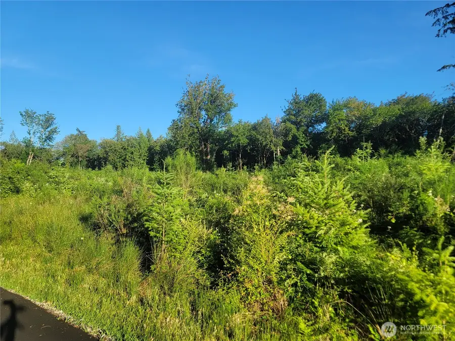 4 9th Street Sw #4, Lakebay, WA 98349 - #2