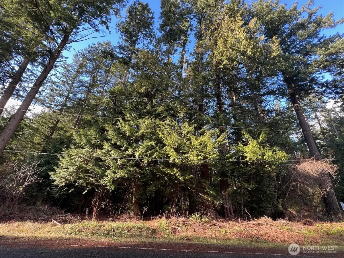 0 Mill Road #1, Point Roberts, WA 98281 - #1