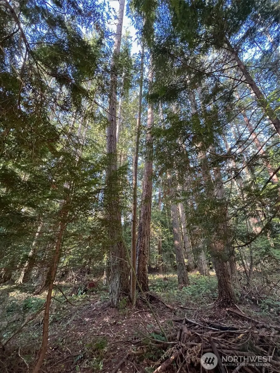 0 Mill Road #1, Point Roberts, WA 98281 - #2