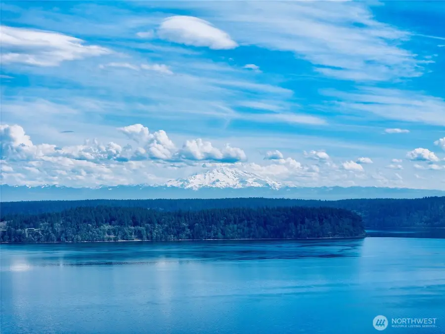 10111 Totem Way #75, Anderson Island, WA 98303 - #3