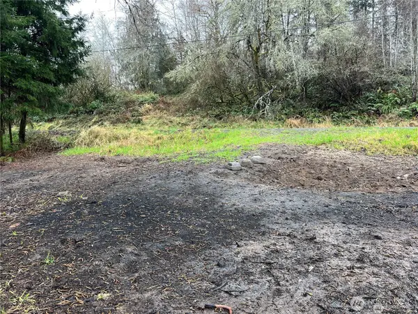 0 Willapa Road #Tract 41, Raymond, WA 98577