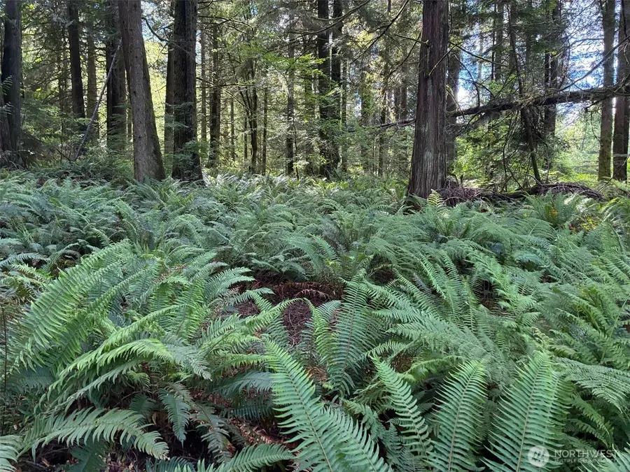 1108 Connors Rd, Snohomish, WA 98290 - #3