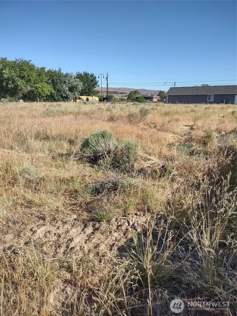 718 S Division, Soap Lake, WA 98851 - #2
