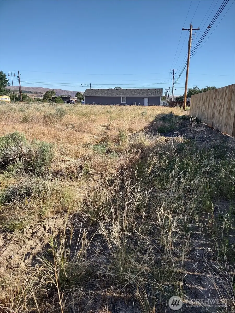 718 S Division, Soap Lake, WA 98851 - #3