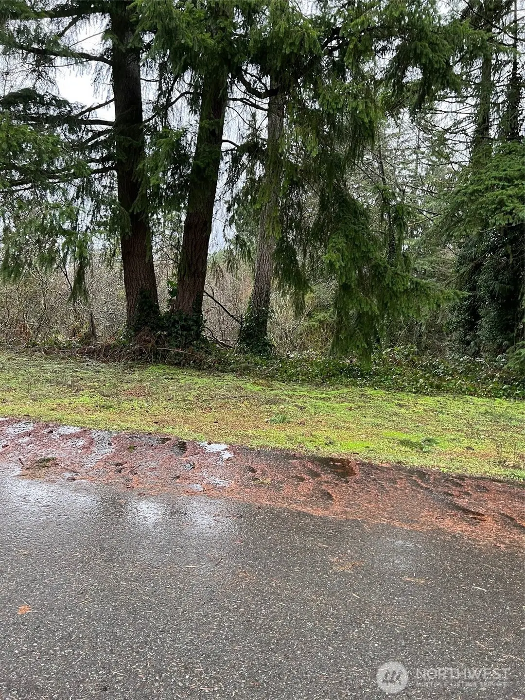 186 NE 161st Place, Woodinville, WA 98072 - #1
