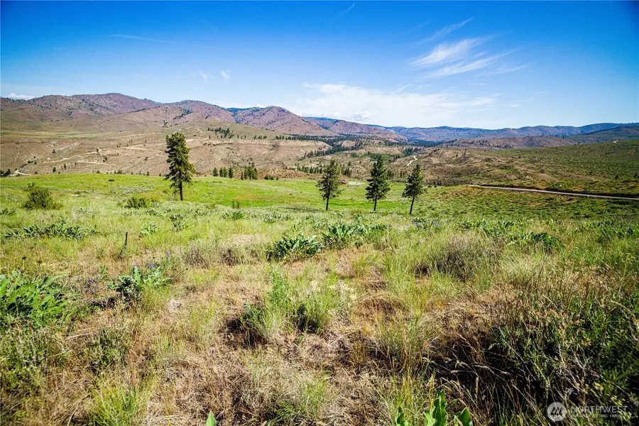 0 Sawtooth View Rd, Methow, WA 98834 - #3