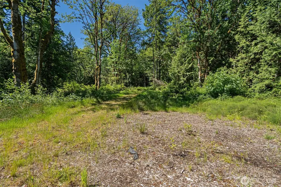 4635 Forest View Lane Se, Port Orchard, WA 98366 - #3