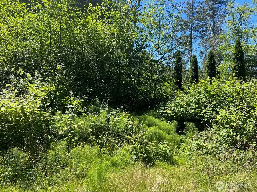 0 Jonna Drive #43, Point Roberts, WA 98281 - #3