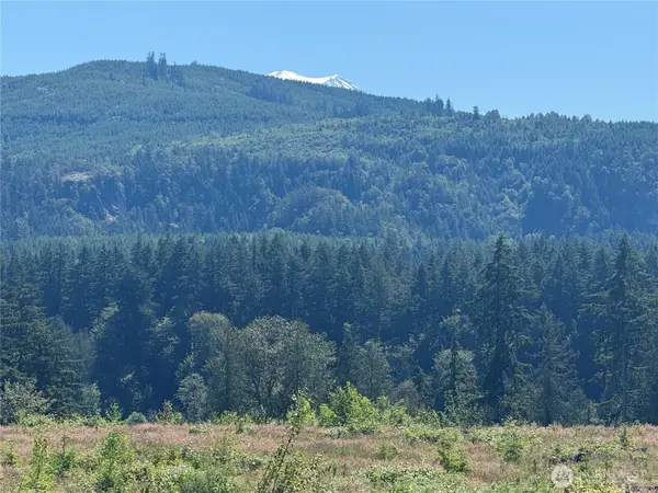 0 114th Avenue Ct E, Eatonville, WA 98328