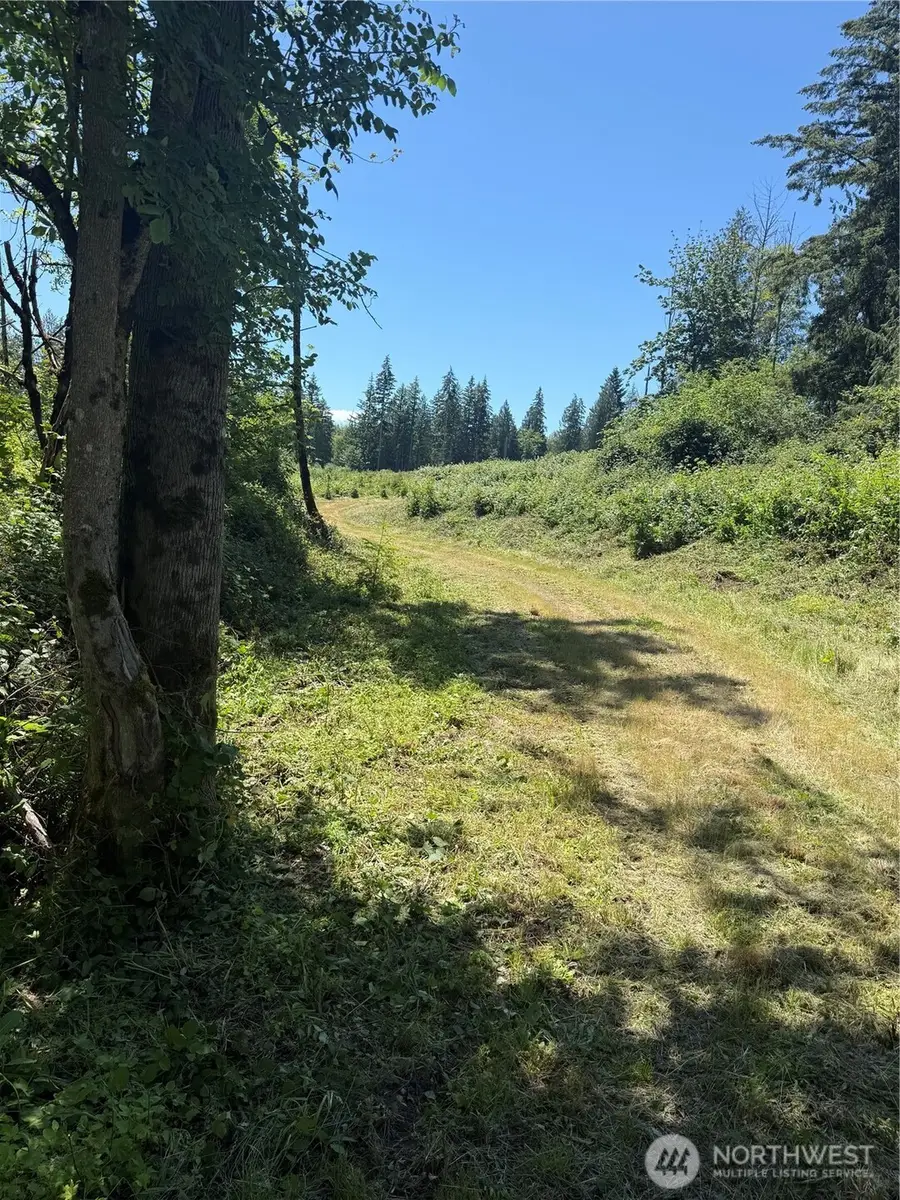 0 114th Avenue Ct E, Eatonville, WA 98328 - #3