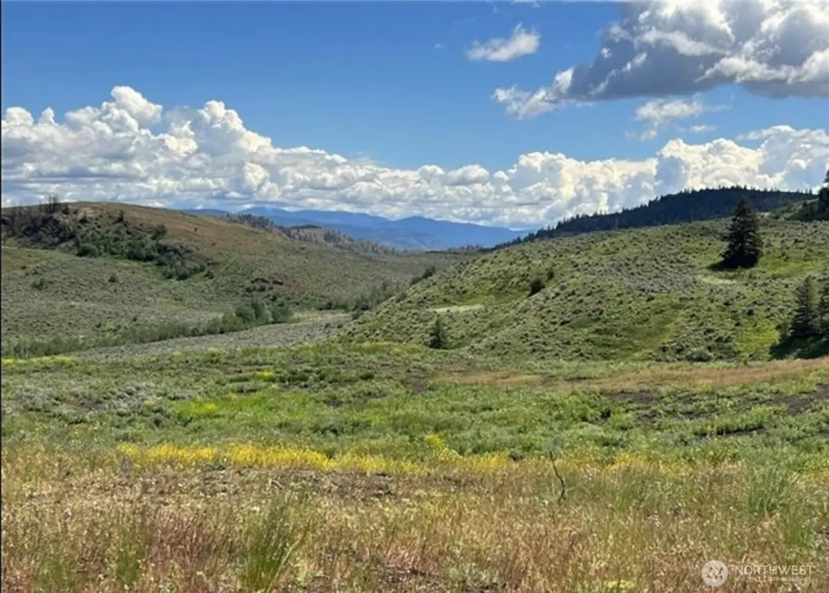 0 Ellemeham Mountain Road, Oroville, WA 98844 - #1