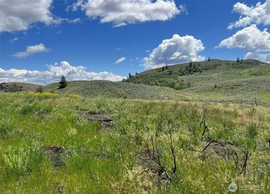 0 Ellemeham Mountain Road, Oroville, WA 98844 - #2