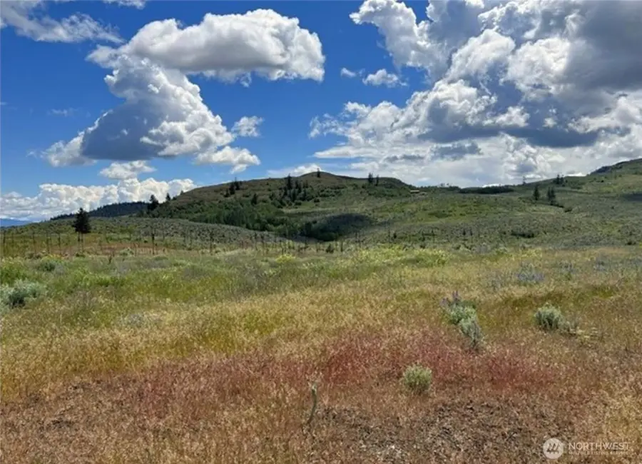 0 Ellemeham Mountain Road, Oroville, WA 98844 - #3