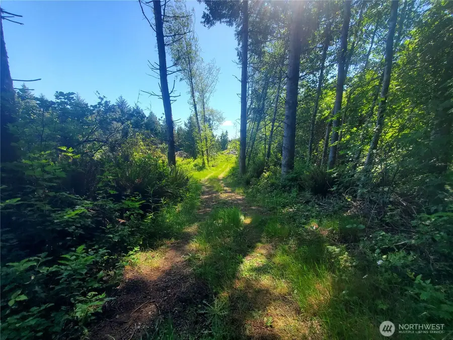 46 North Shore Place, Hoquiam, WA 98550 - #3