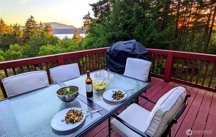227 Bromley Drive, Orcas, WA 98245 - #3