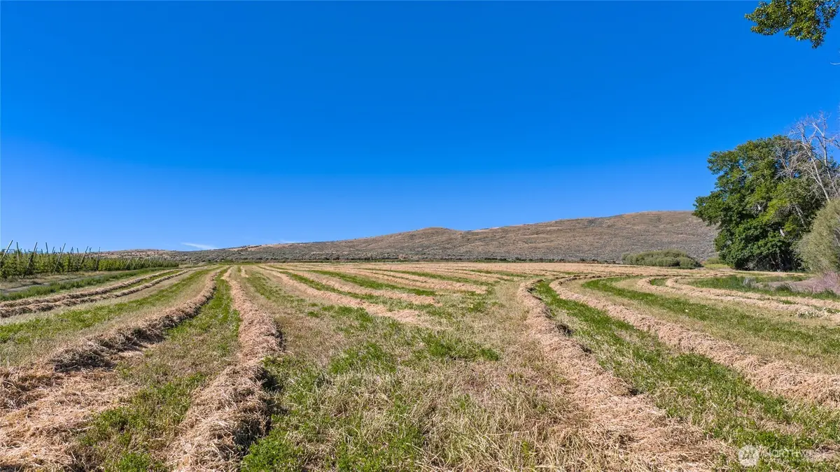 1 Borland, Ellensburg, WA 98926 - #1