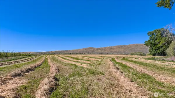 1 Borland, Ellensburg, WA 98926