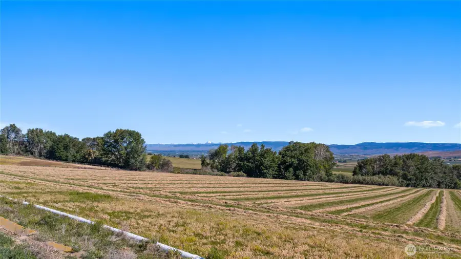2 Borland, Ellensburg, WA 98926 - #3
