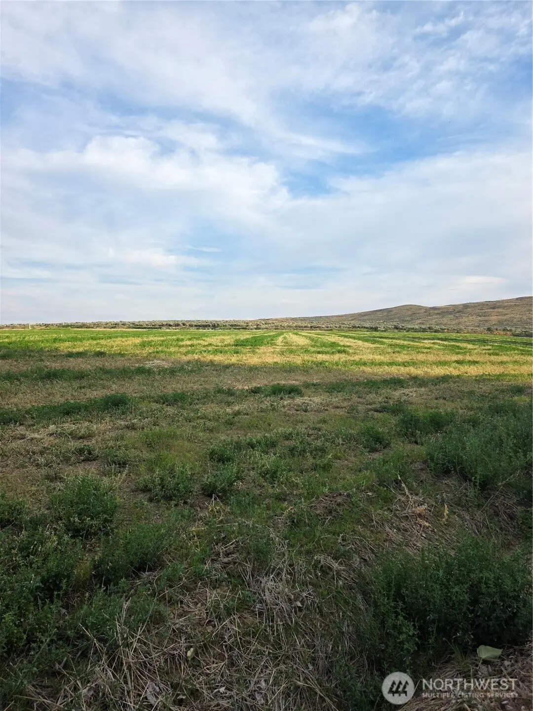 3 Borland, Ellensburg, WA 98926 - #1