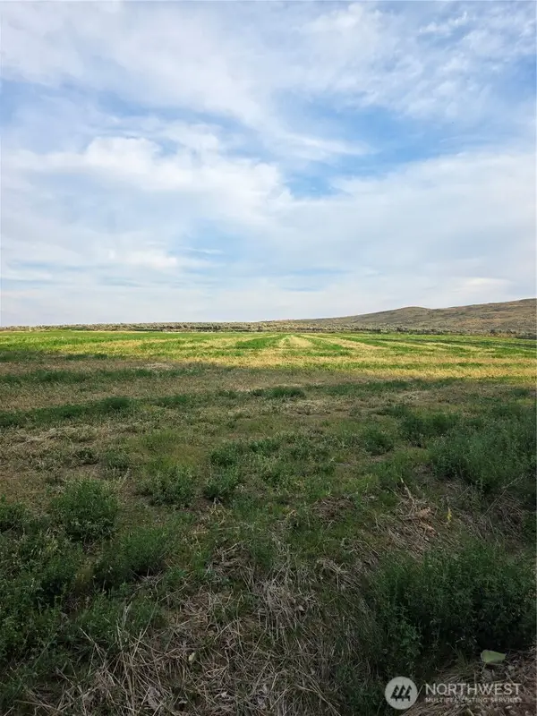 3 Borland, Ellensburg, WA 98926