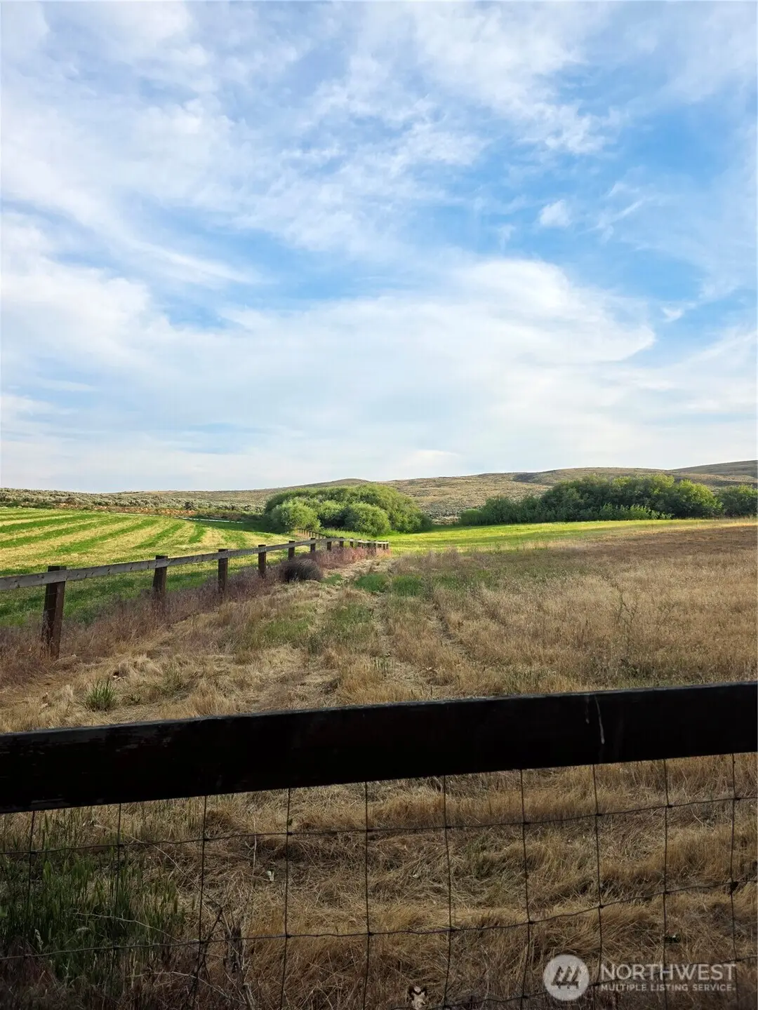 4 Borland, Ellensburg, WA 98926 - #1