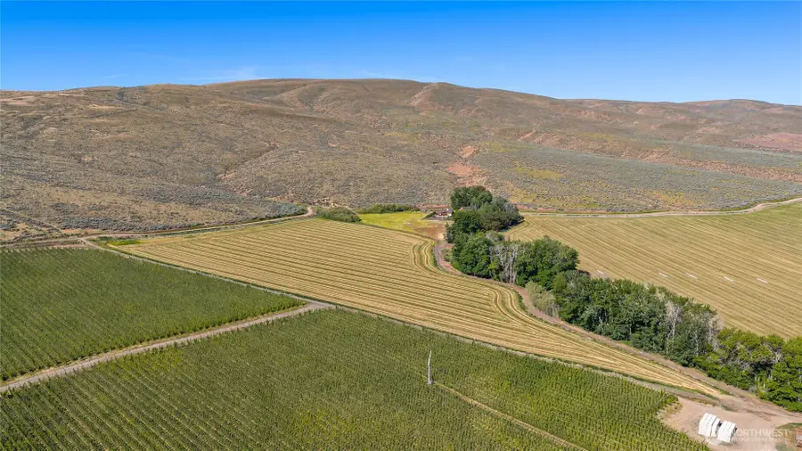 4 Borland, Ellensburg, WA 98926 - #3