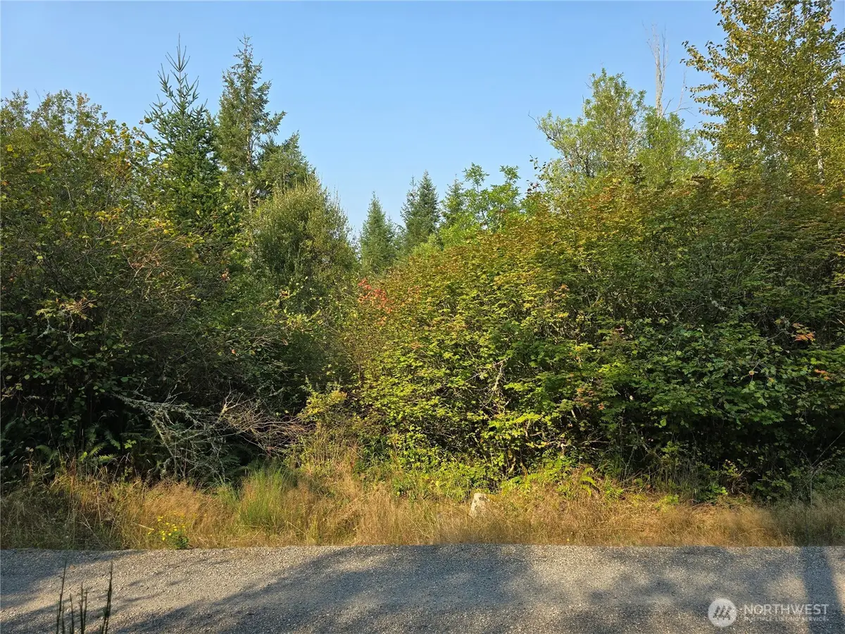 13849 Starflower Lane Se #5, Yelm, WA 98597 - #1