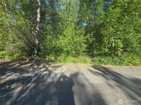 13823 Starflower Lane Se #4, Yelm, WA 98597