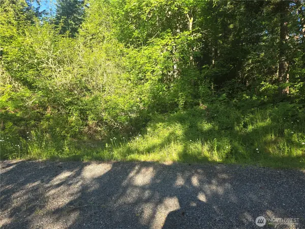 13811 Starflower Lane Se #3, Yelm, WA 98597