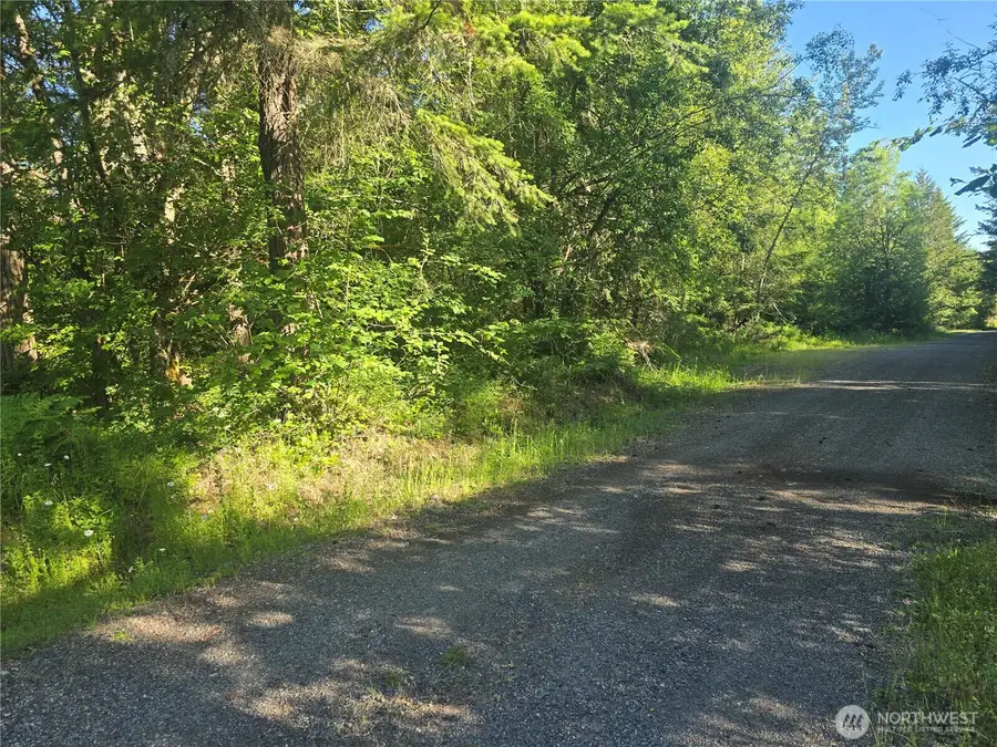 13811 Starflower Lane Se #3, Yelm, WA 98597 - #3