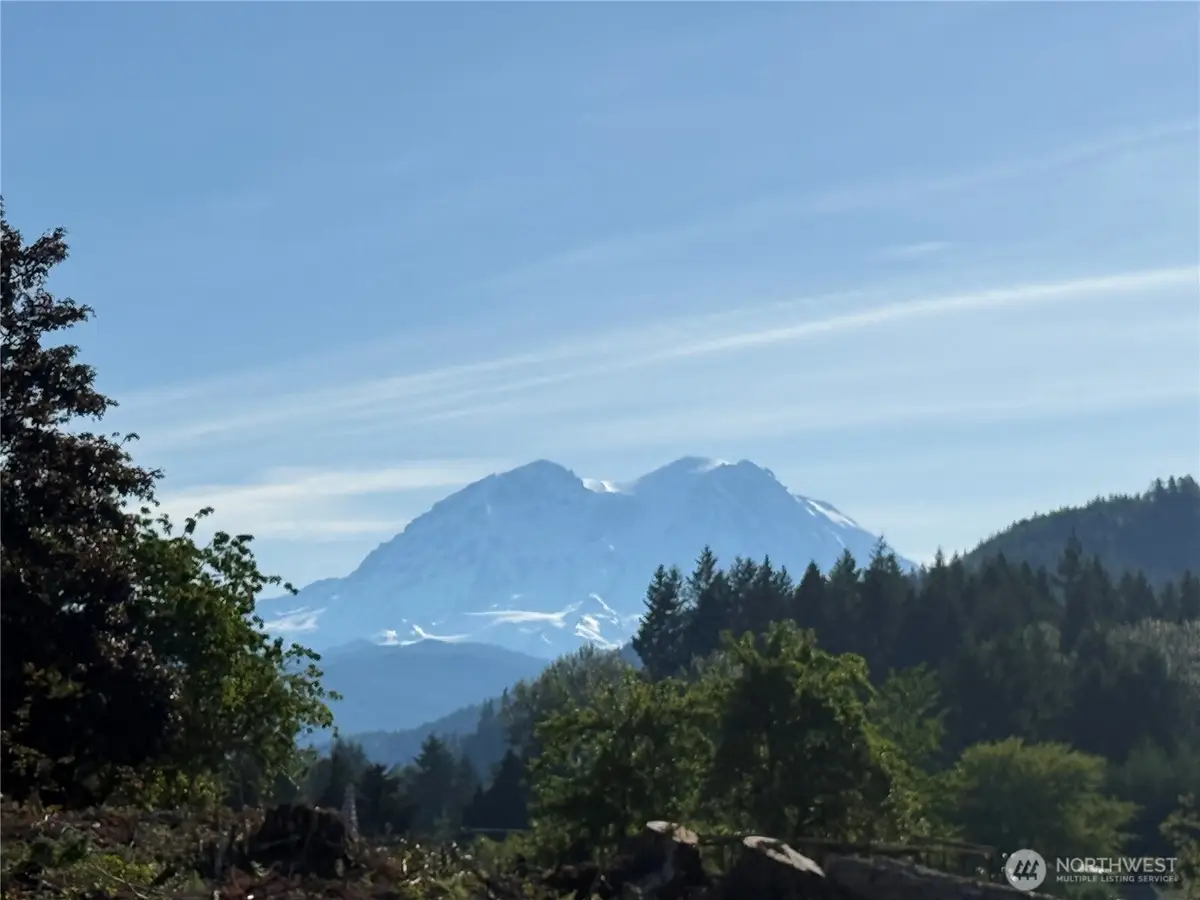 215 Mineral Road N, Mineral, WA 98355 - #1