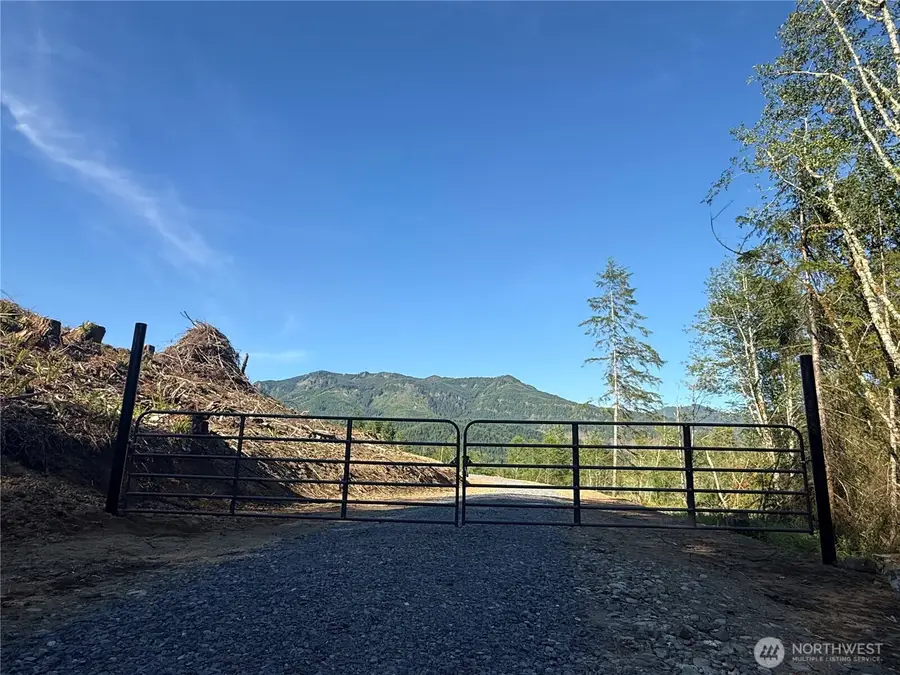 215 Mineral Road N, Mineral, WA 98355 - #2