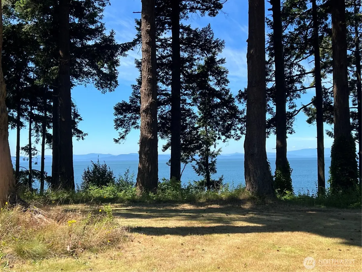 297 Marine Drive, Point Roberts, WA 98281 - #1
