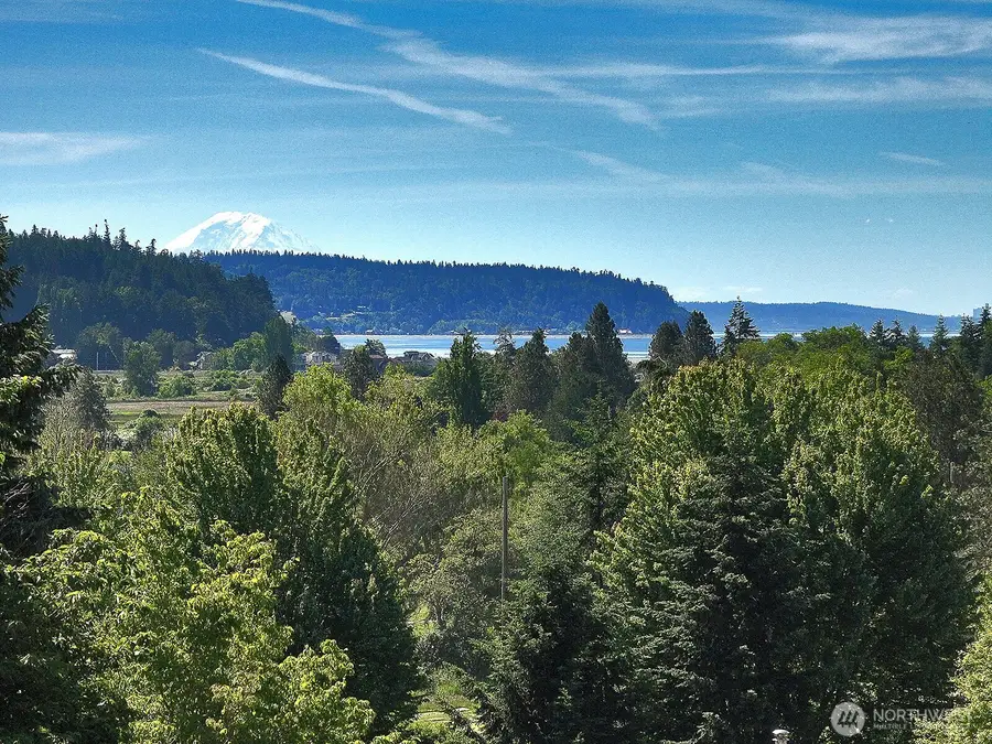 2441 Hillis Drive, Langley, WA 98260 - #3