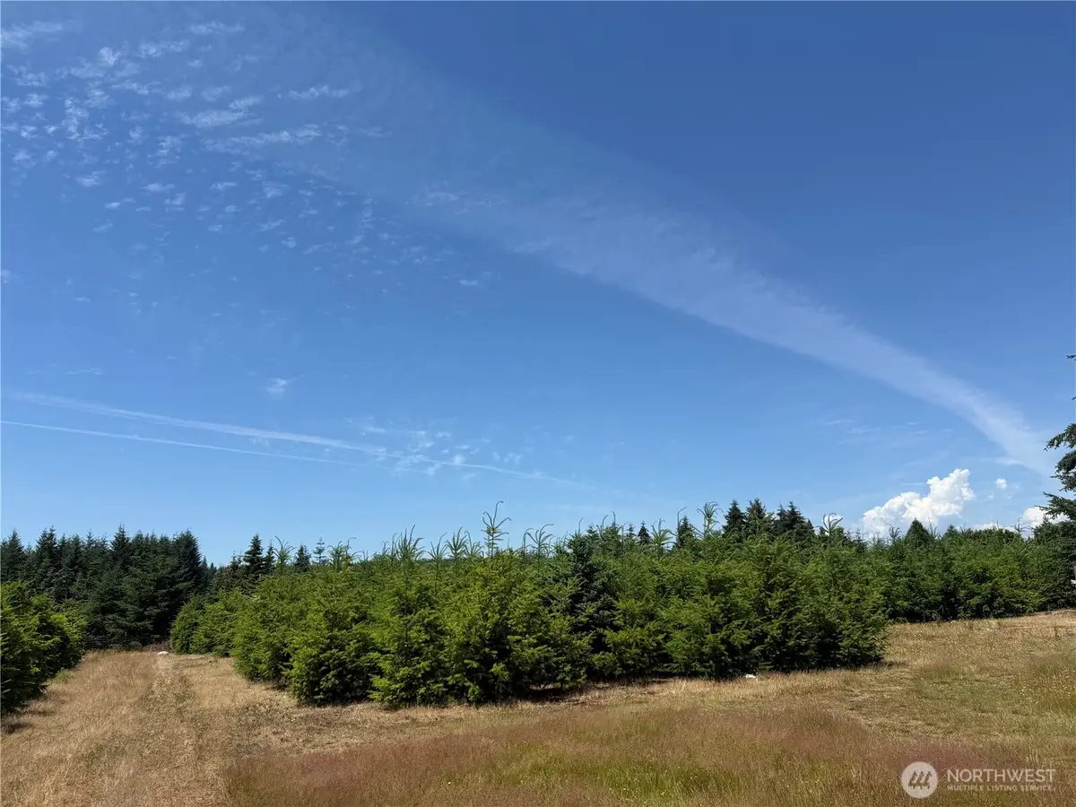 101 SE Dusty Lane, Shelton, WA 98584 - #1