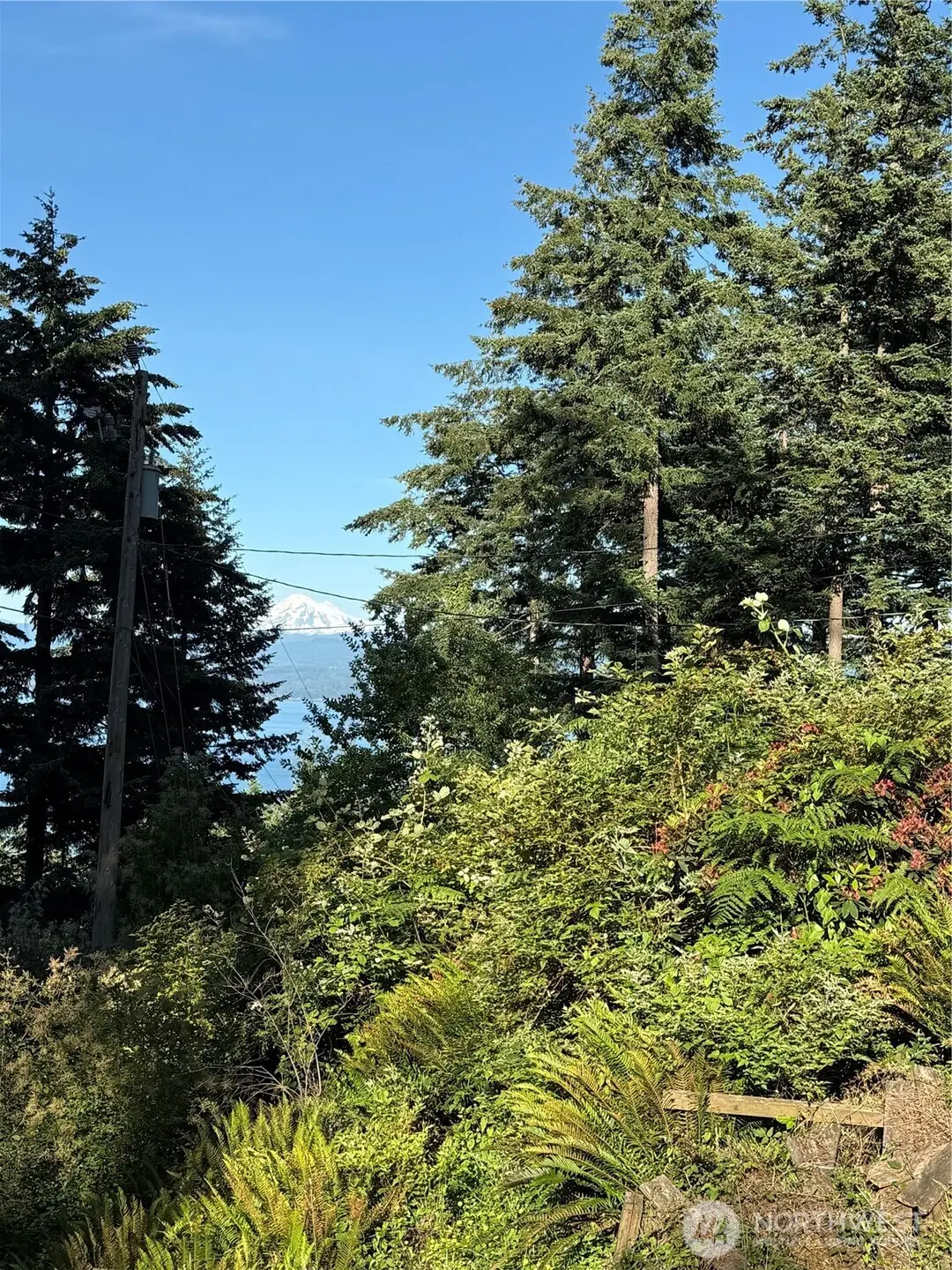 2959 Dogwood Terrace #24, Lummi Island, WA 98262 - #1