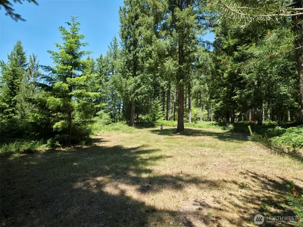 0 Loowit Lane #1, Cougar, WA 98616