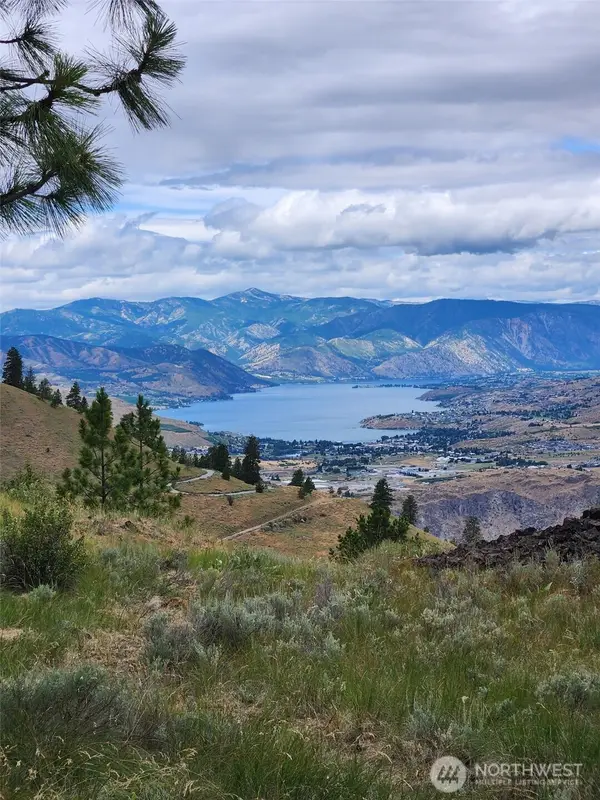 85 Eagles Nest Road, Orondo, WA 98843