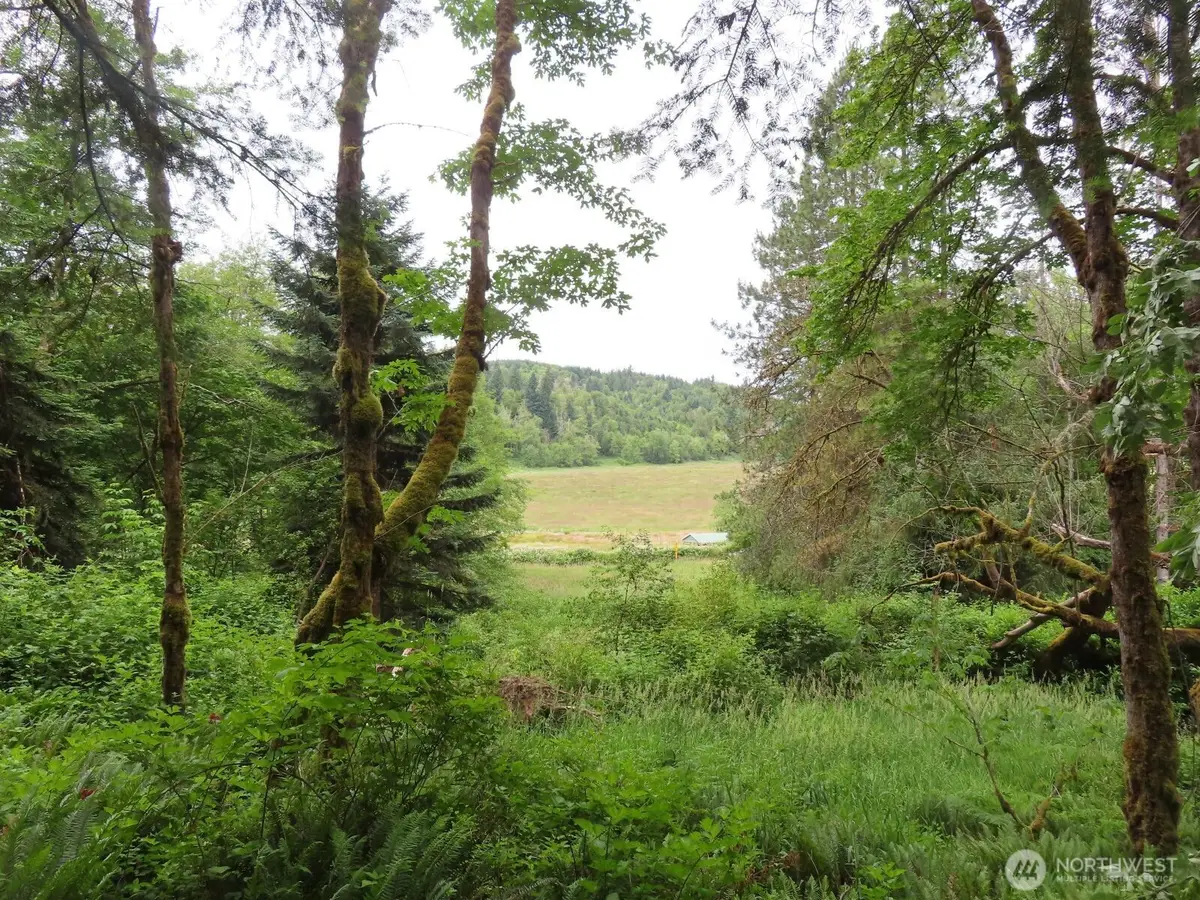 21720 Zenkner Valley Road Sw #2, Centralia, WA 98531 - #1