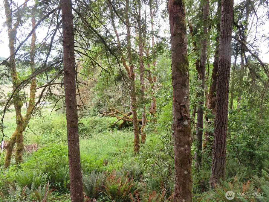 21720 Zenkner Valley Road Sw #2, Centralia, WA 98531 - #3
