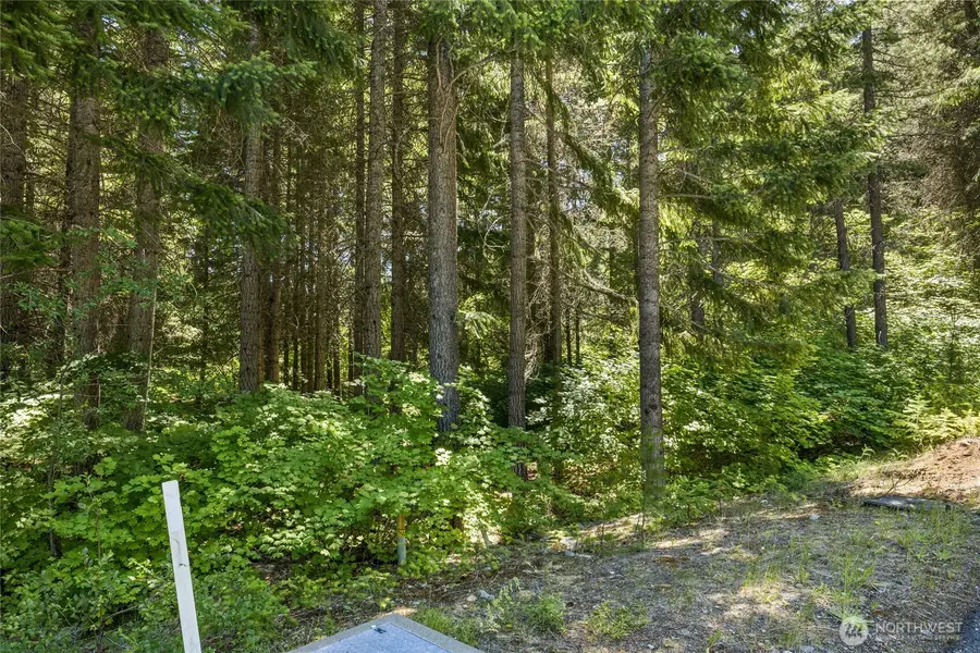 30 Scatter Creek Loop #9-22, Cle Elum, WA 98926 - #3