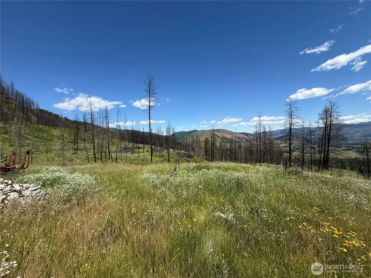 367 4th Of July Creek Road #Lot 31, Danville, WA 99121 - #1