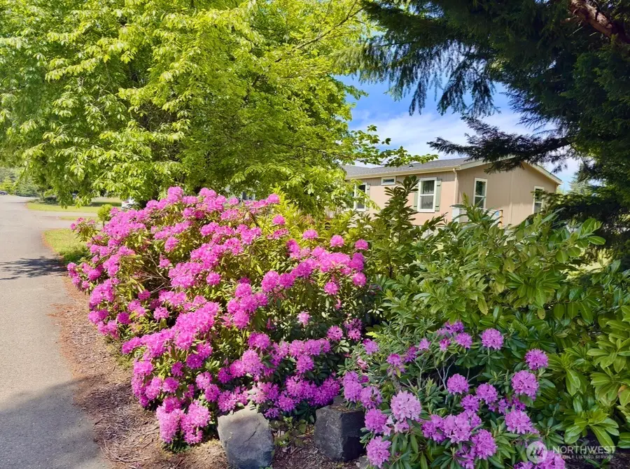 20 W Freedom Lane #1, Shelton, WA 98584 - #2
