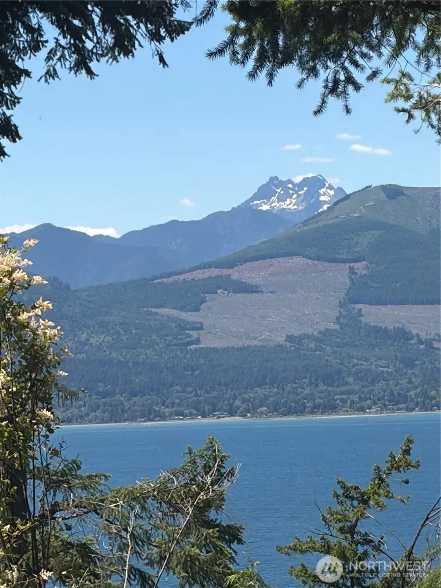 1 Foxglove Lane #D, Quilcene, WA 98376 - #2