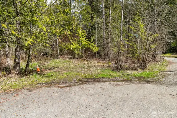 17045 Iceberg Road, Glacier, WA 98244
