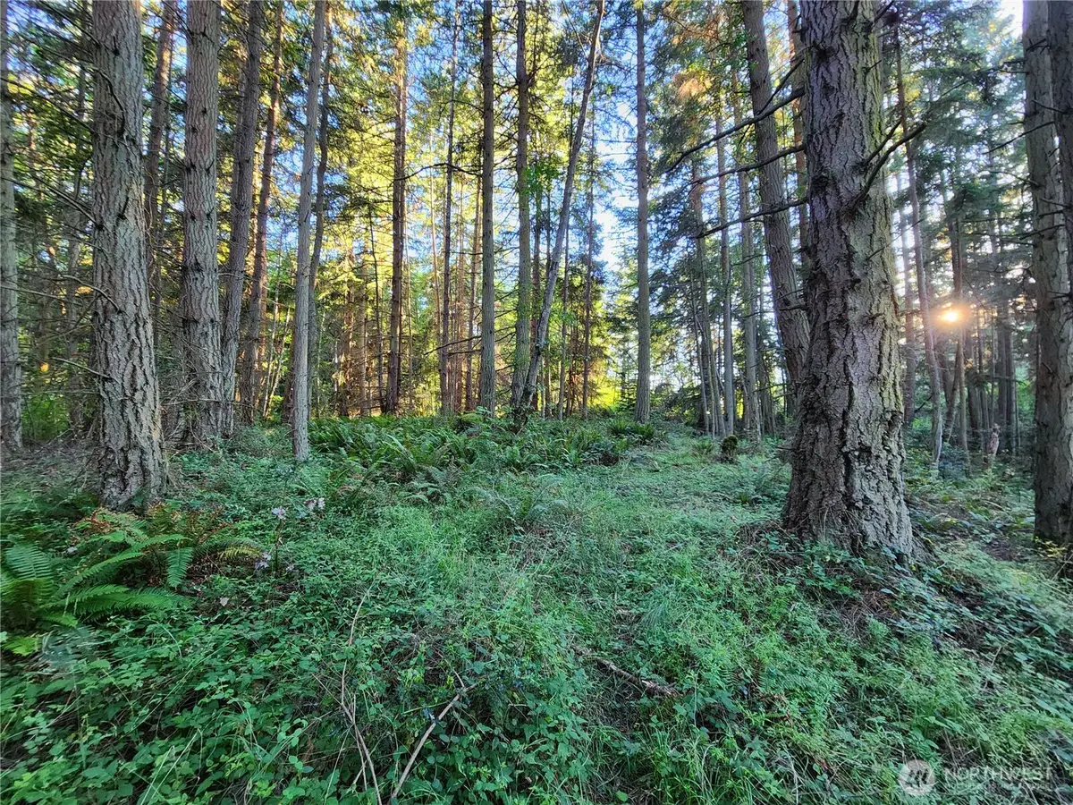 98249 Lancaster Rd, Freeland, WA 98249 - #1
