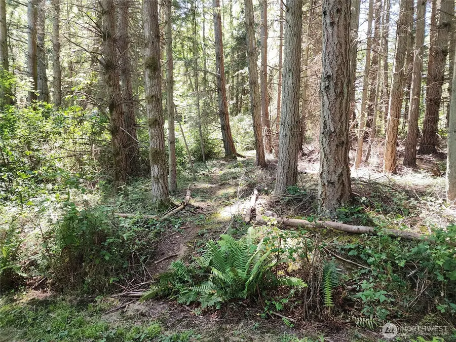 98249 Lancaster Rd, Freeland, WA 98249 - #3