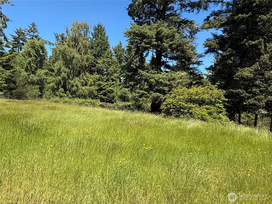 21850 V Lane, Ocean Park, WA 98640 - #3