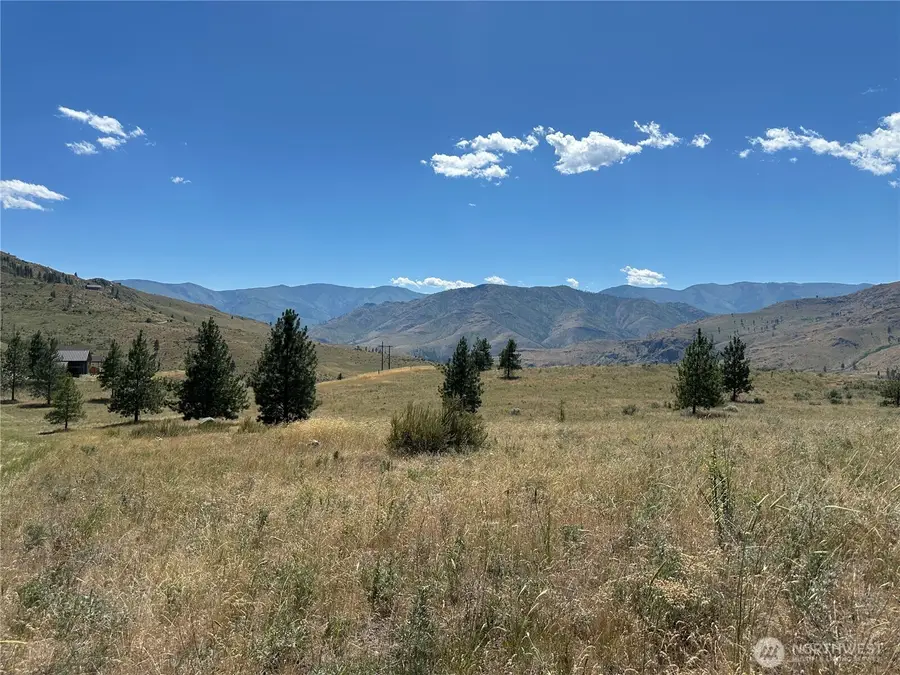 0 Peterson Ranch Road, Pateros, WA 98846 - #2
