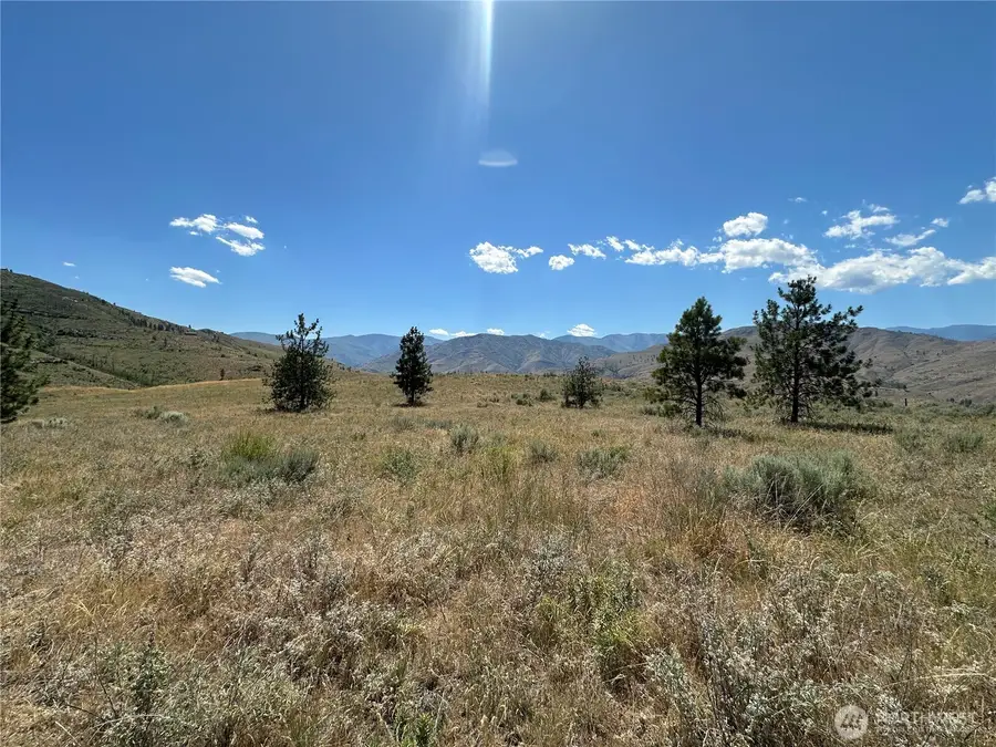 0 Peterson Ranch Road, Pateros, WA 98846 - #3